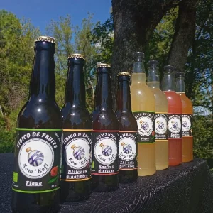 Kombucha & Tibico